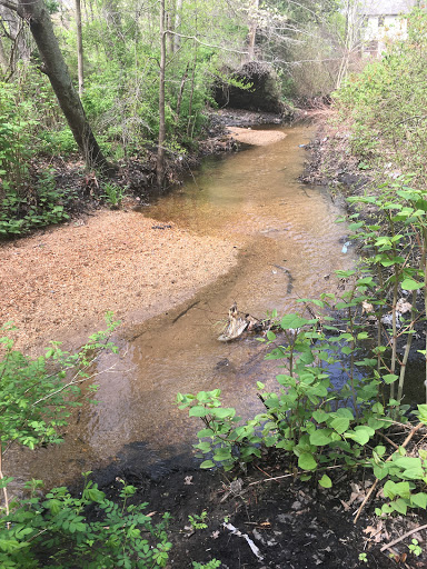 Nature Preserve «Brookside Preserve», reviews and photos, N Brookside Ave, Roosevelt, NY 11575, USA