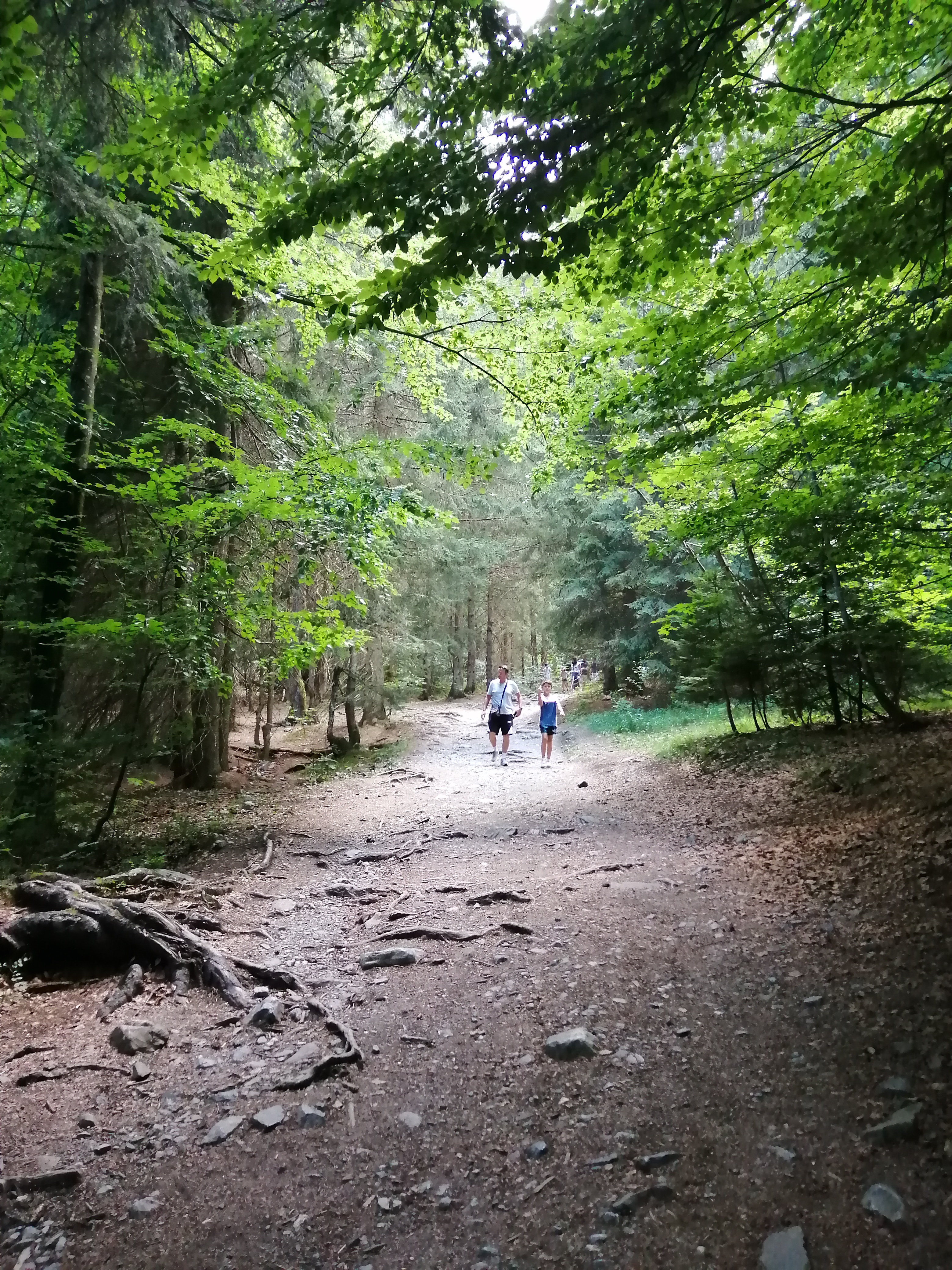 Photo n° 4 de l'avis de Guillaume. fait le 08/08/2022 à 14:50