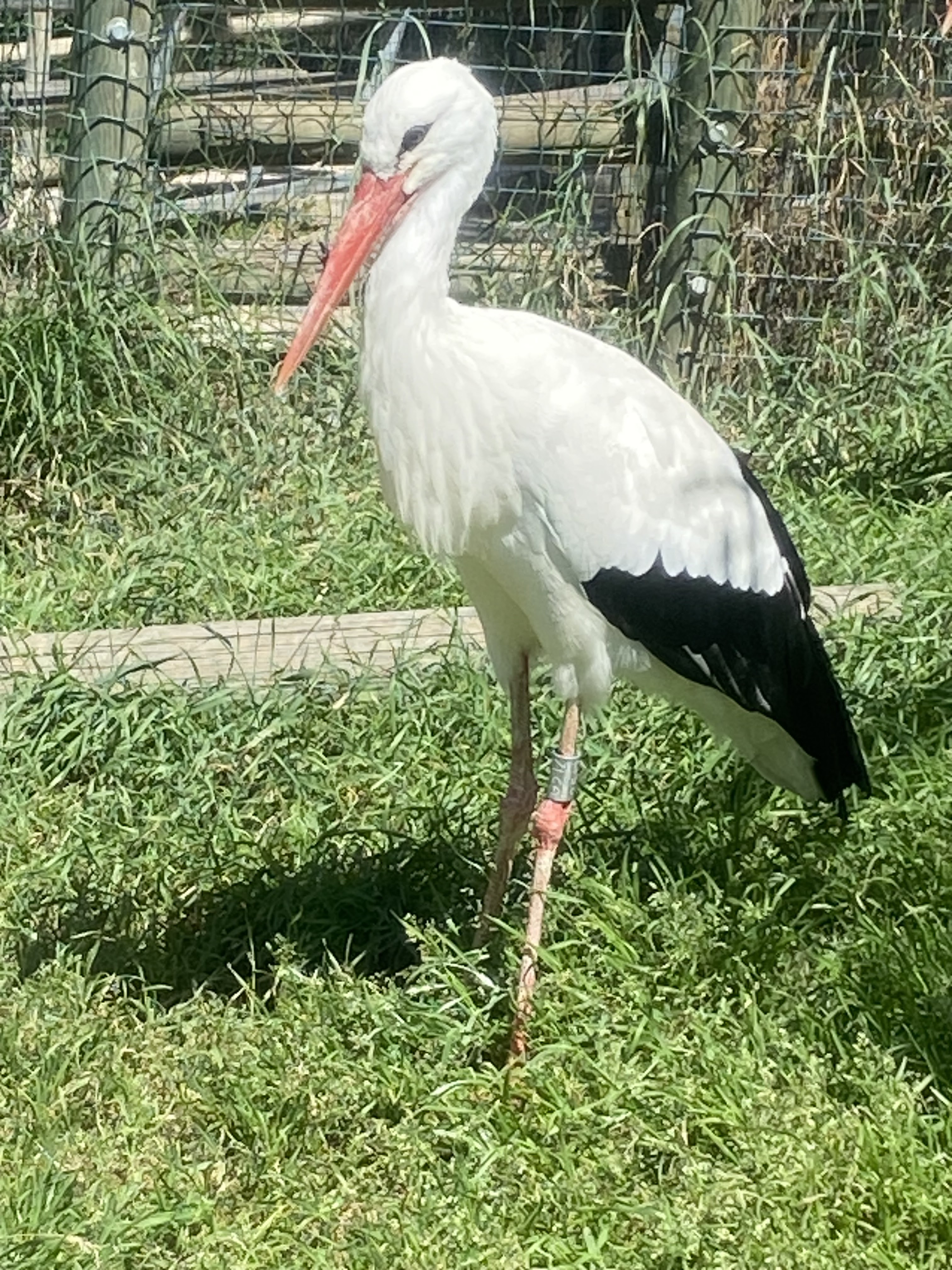 Photo n° 3 de l'avis de Johann.e fait le 09/07/2023 à 11:41