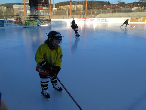 Eisstadion Pegnitz