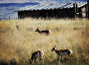 National Historic Trails Interpretive Center - photo 32