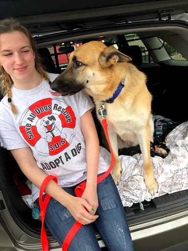 Pet Store «The Dog House», reviews and photos, 120 Hale Rd #1, Manchester, CT 06042, USA