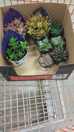 Home Improvement Store «The Home Depot», reviews and photos, 35930 Detroit Rd, Avon, OH 44011, USA