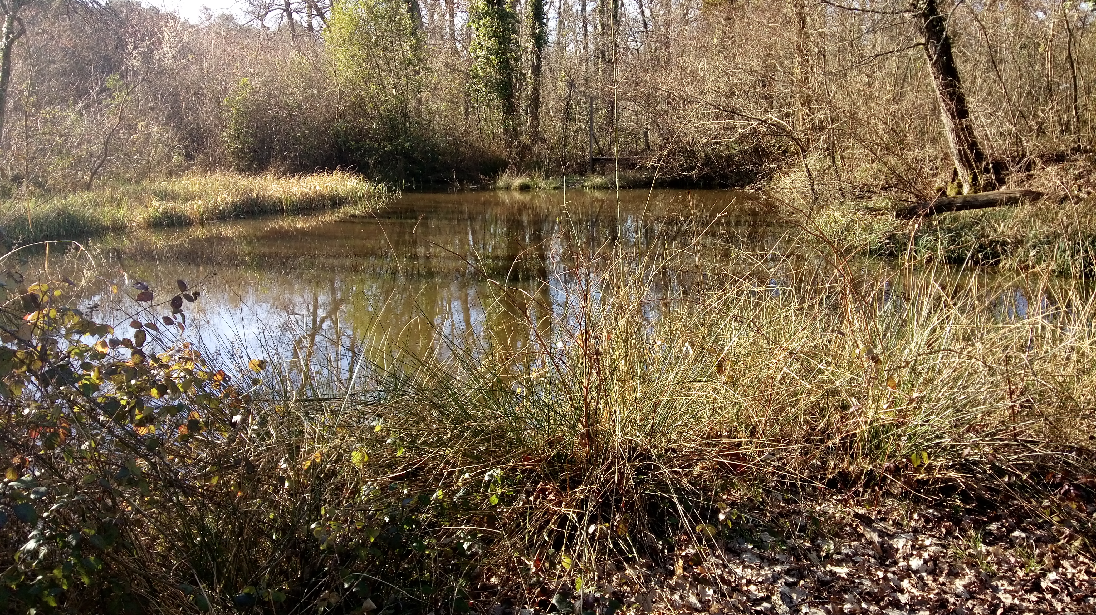 Photo n° 3 de l'avis de Thais.o fait le 03/03/2018 à 16:31