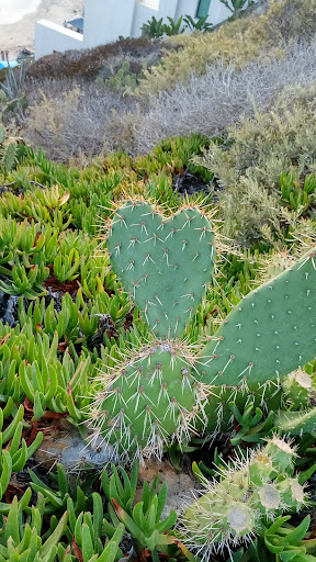 Tourist Attraction «Inspiration Point», reviews and photos, 3001 Ocean Blvd, Corona Del Mar, CA 92625, USA