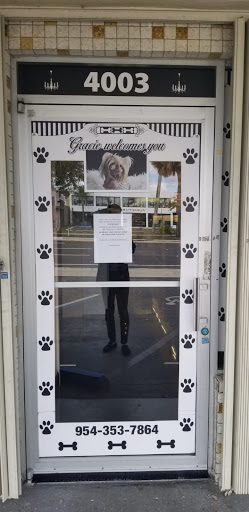 Pet Store «Puppy Boutique Store», reviews and photos, 4001 N Federal Hwy, Fort Lauderdale, FL 33308, USA