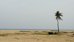 Kaluthavalai Beach'in fotoğrafı imkanlar alanı