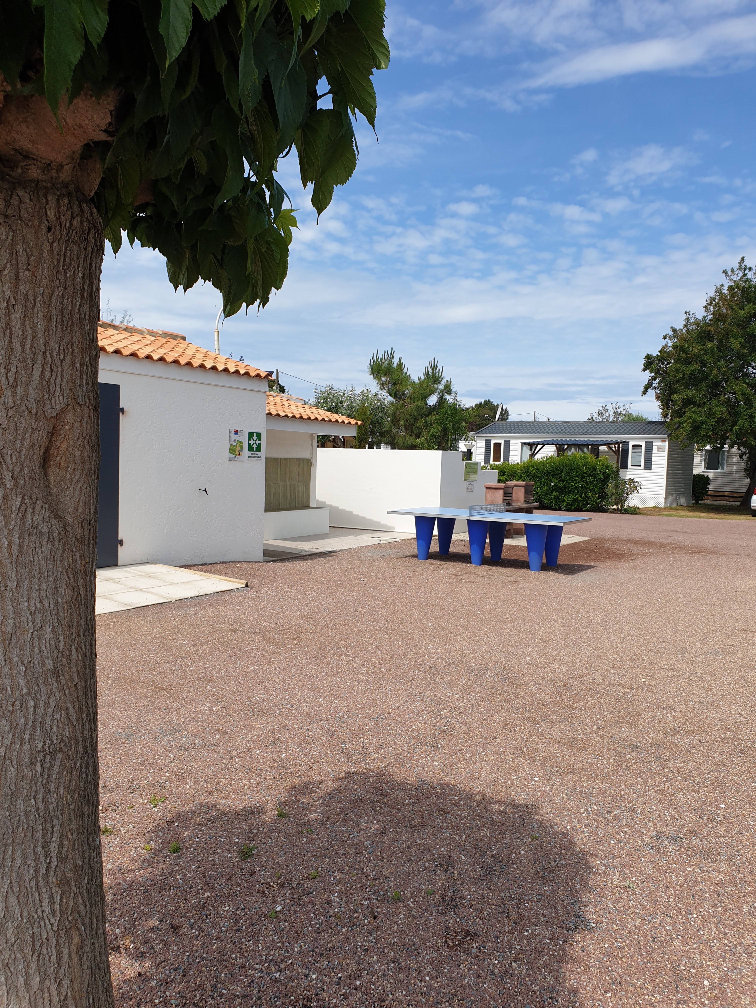 Photo n° 3 de l'avis de ffeufeu. fait le 09/06/2019 à 11:19