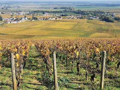 Vignobles Appellation Côtes De Nuits à Vosne-Romanée