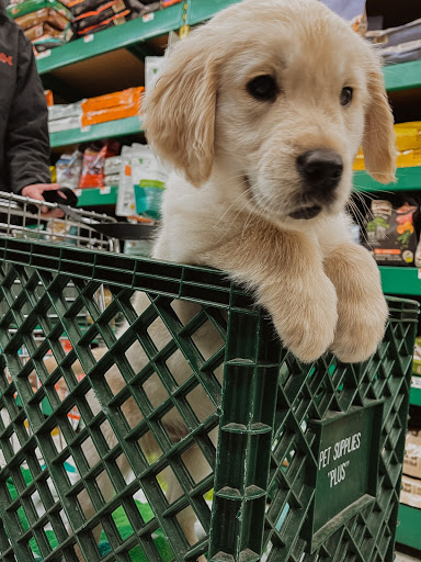 Pet Supply Store «Pet Supplies Plus», reviews and photos, 1377 N 21st St, Newark, OH 43055, USA