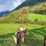 Photo n°4 de l'avis de Angelo.a fait le 05/10/2023 à 18:09 sur le  Agritur Bontempelli à Pellizzano