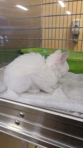 Pet Supply Store «PetSmart», reviews and photos, 573 N McKinley St, Corona, CA 92879, USA