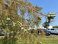 Sullivan-Parkhill Automotive Service - Photo 4 - Car repair in Champaign, IL, Champaign