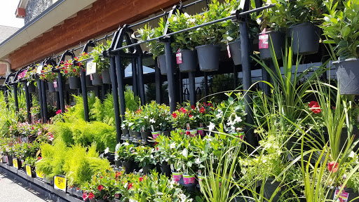 Grocery Store «Quality Food Center», reviews and photos, 1009 Monroe Ave, Enumclaw, WA 98022, USA