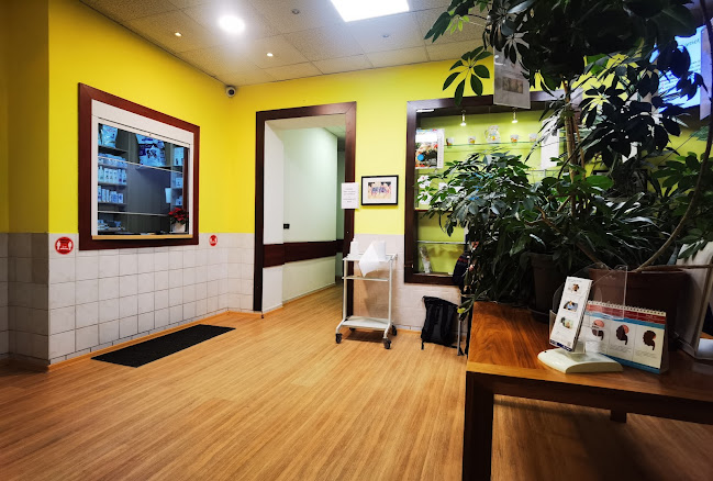 Veterinární klinika Erika nemocnice - Praha