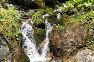 Foamy Valley Waterfall image