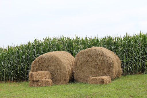 Wedding Venue «Sunset Ridge Barn», reviews and photos, 4831 Lisbon St, Prole, IA 50229, USA