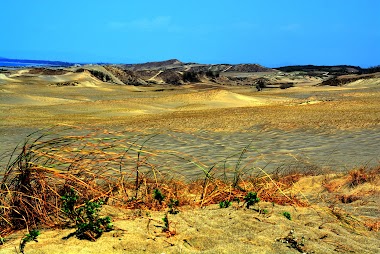 Ilocos L Sand Dunes