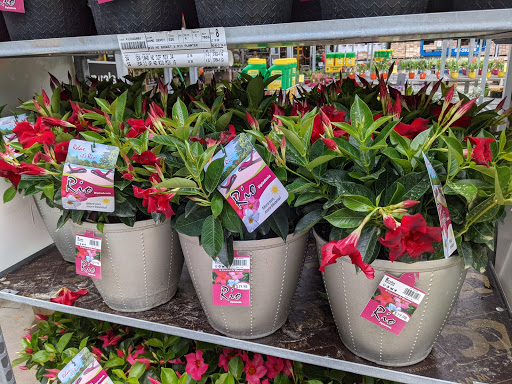 Home Improvement Store «Tractor Supply Co.», reviews and photos, 2754 Saratoga Blvd, Corpus Christi, TX 78415, USA