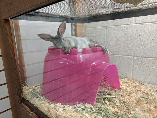 Pet Store «Pet World Warehouse Outlet», reviews and photos, 2148 W Beltline Hwy, Madison, WI 53713, USA