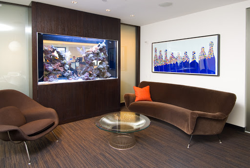 Tropical Fish Store «House of Fins», reviews and photos, 99 Bruce Park Ave, Greenwich, CT 06830, USA