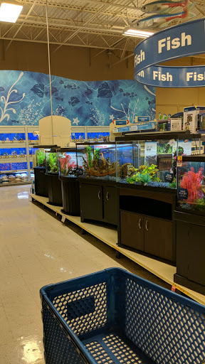 Pet Supply Store «PetSmart», reviews and photos, 2840 W Chandler Blvd, Chandler, AZ 85224, USA