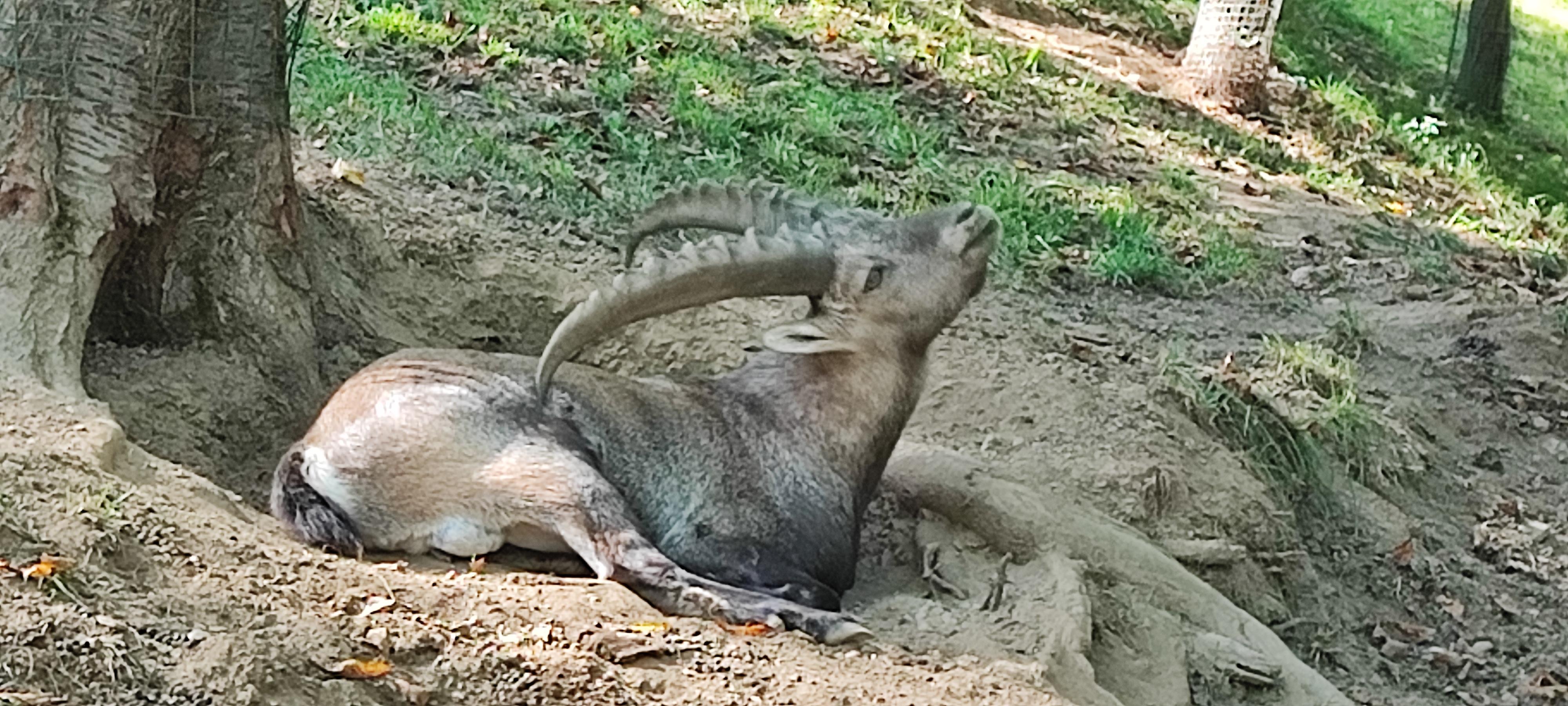 Photo n° 4 de l'avis de Thierry.i fait le 28/09/2023 à 17:40