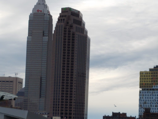 Stadium «Progressive Field», reviews and photos, 2401 Ontario St, Cleveland, OH 44115, USA