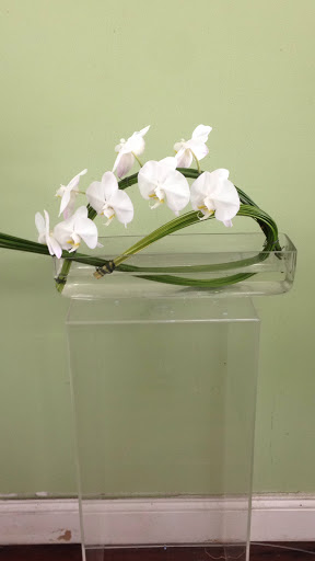 Florist «Aventura Florist», reviews and photos, 20445 Biscayne Blvd, Aventura, FL 33180, USA