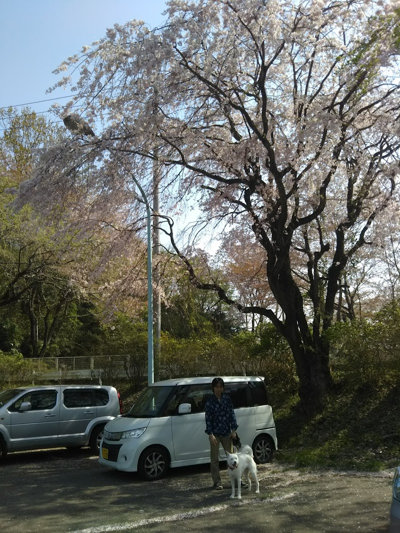飯山グラウンド駐車場