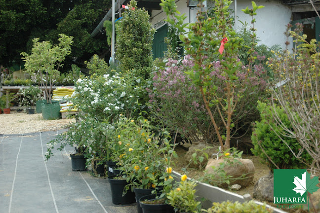 Juharfa Kertészeti Áruda és Faiskola - Kertészkedő