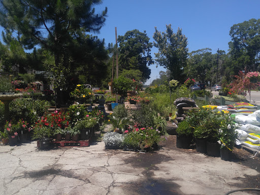 Garden Center «Buds & Blooms Landscaping Nursery», reviews and photos, 42 Sea Island Pkwy, Beaufort, SC 29907, USA