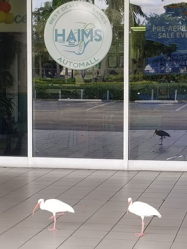 Used Car Dealer «Haims Motors», reviews and photos, 2000 N State Rd 7, Lauderdale Lakes, FL 33313, USA