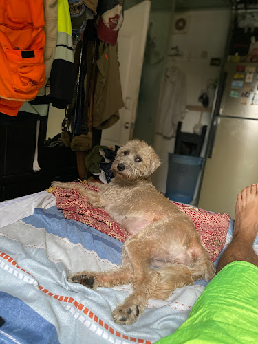 Opinii despre Urban Soul Barber Shop în Lima - Barbería