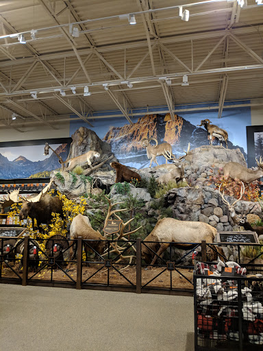 Outdoor Sports Store «Field & Stream», reviews and photos, 24600 Katy Fwy Ste 1100B, Katy, TX 77493, USA