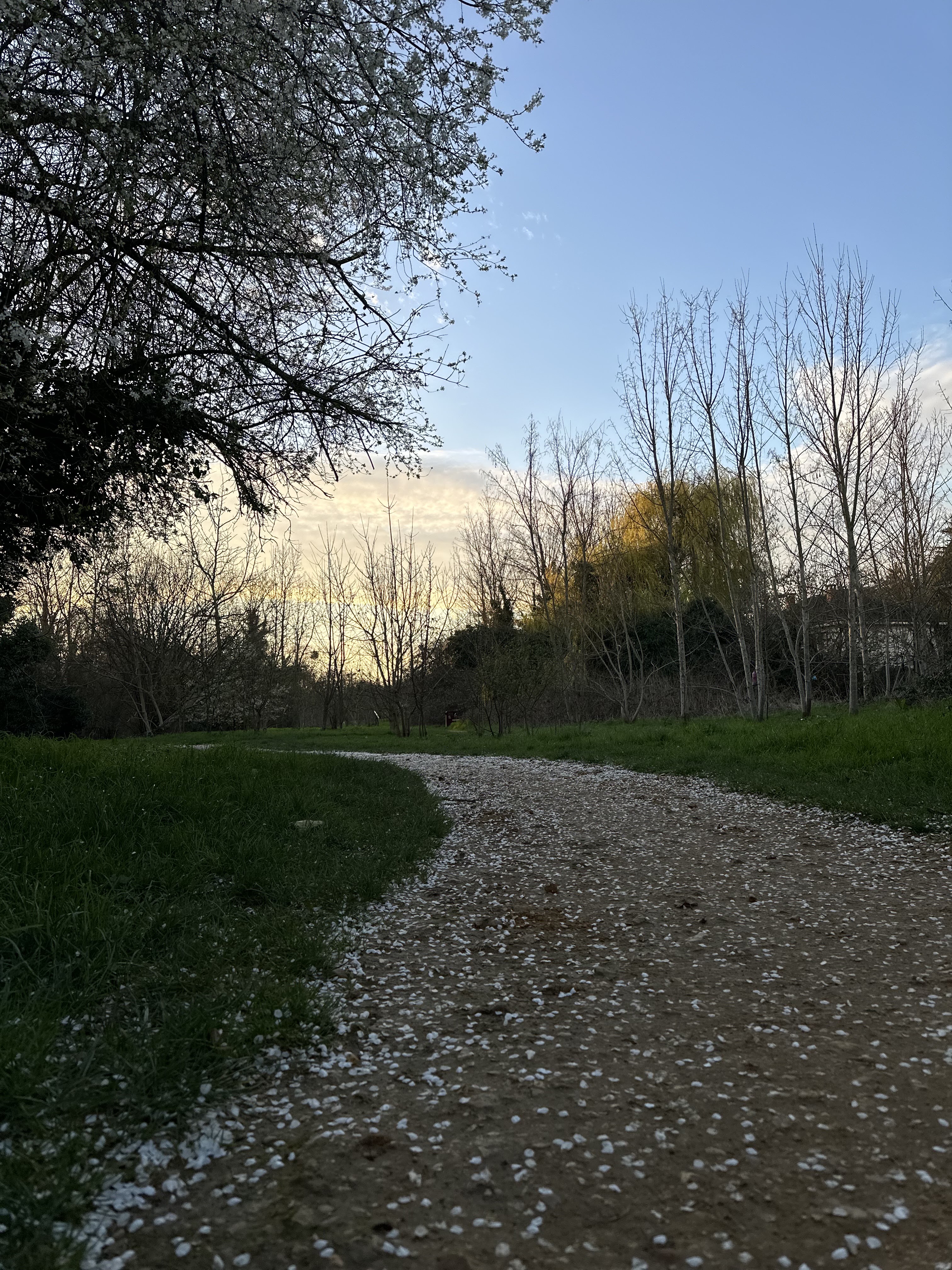 Photo n° 1 de l'avis de lamia.a fait le 14/03/2024 à 19:53