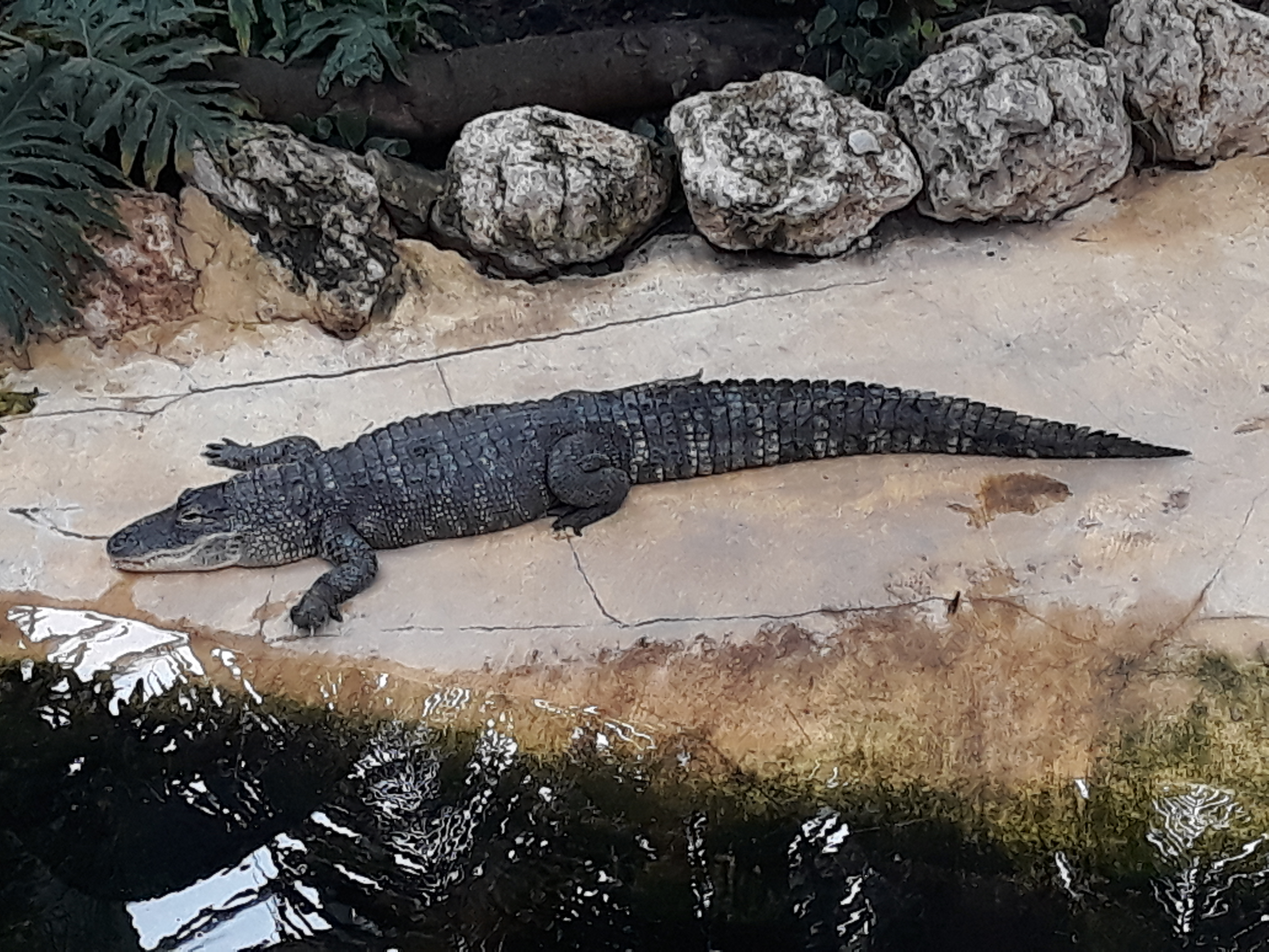 Photo n° 20 de l'avis de Estelle.o fait le 09/08/2018 à 10:25