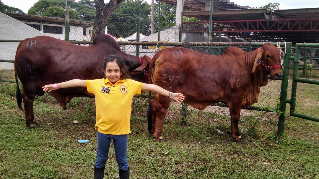 Procesadora de Leche