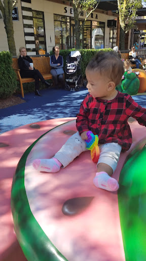 Computer Store «Apple Partridge Creek», reviews and photos, 17360 Hall Rd, Charter Twp of Clinton, MI 48038, USA