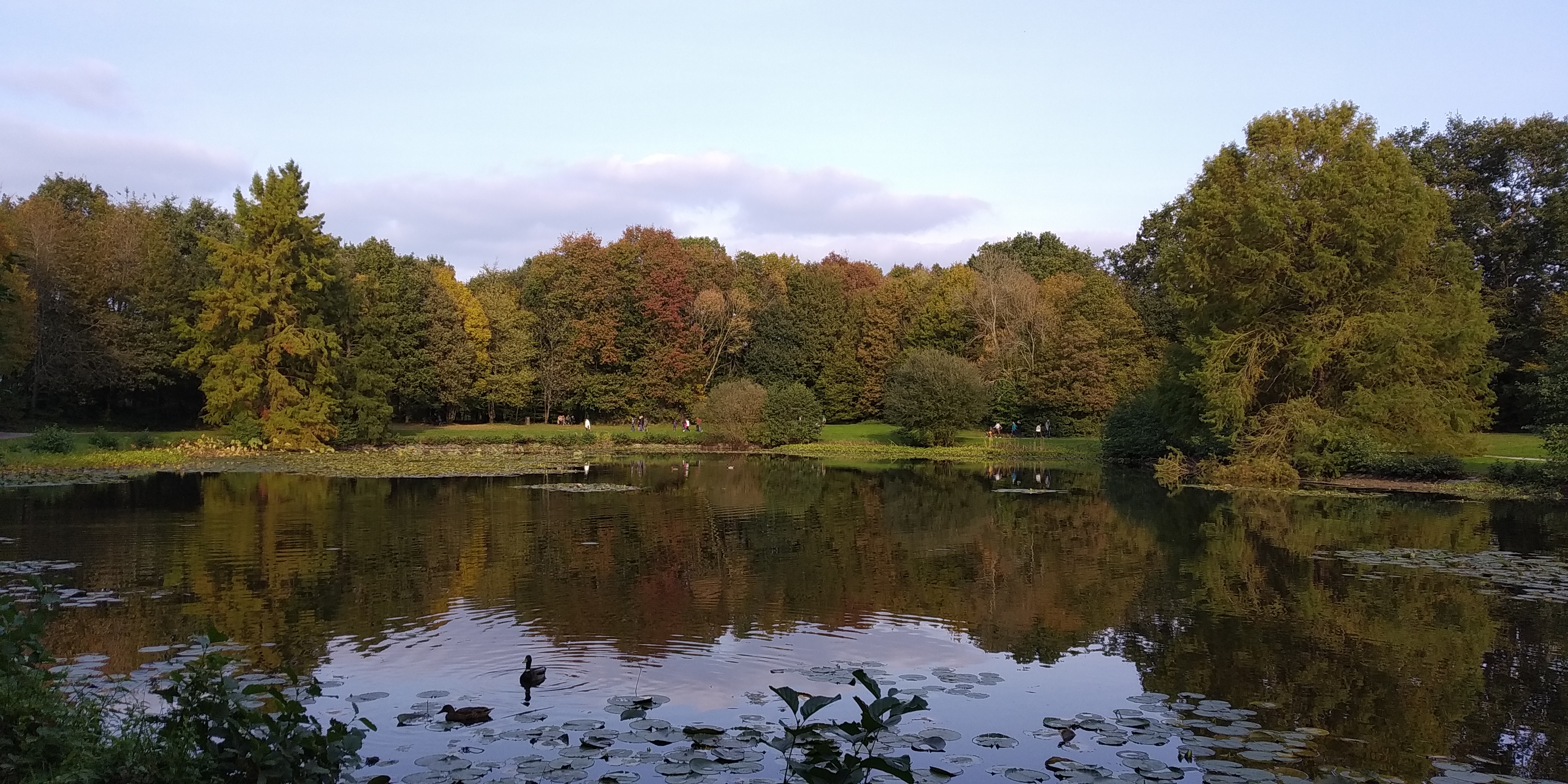 Photo n° 3 de l'avis de Flo.a fait le 18/10/2020 à 15:36
