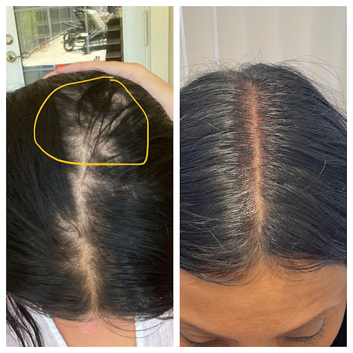 Explore free bird tattoo ideas, creative tattoo ideas in Sarasota, available at Oddity Tattoo Art University