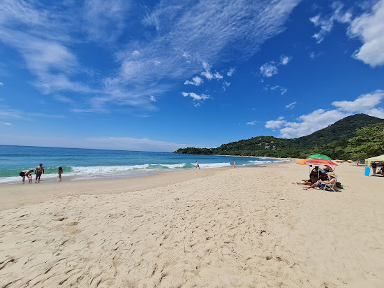 Felix Plage