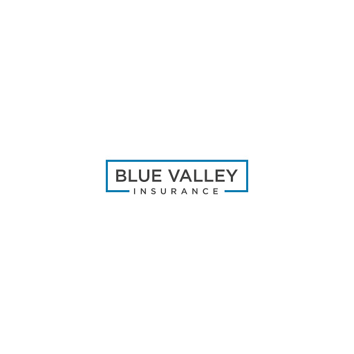 Insurance Agency «Blue Valley Insurance», reviews and photos