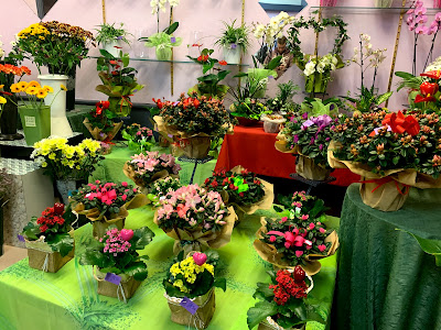 Fleuriste Rotsaert à Roubaix