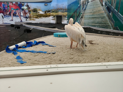 Aquarium «Clearwater Marine Aquarium», reviews and photos, 249 Windward Passage, Clearwater, FL 33767, USA