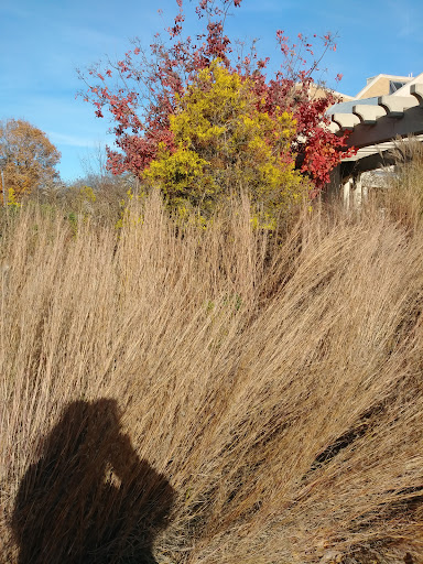 Cultural Center «Minnetrista», reviews and photos, 1200 N Minnetrista Pkwy, Muncie, IN 47303, USA