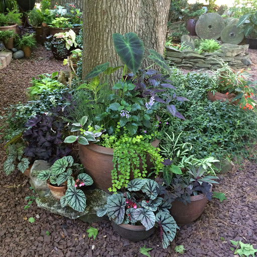 Florist «Guaranteed Plants & Florist», reviews and photos, 504 Locust Point Rd, Rumson, NJ 07760, USA