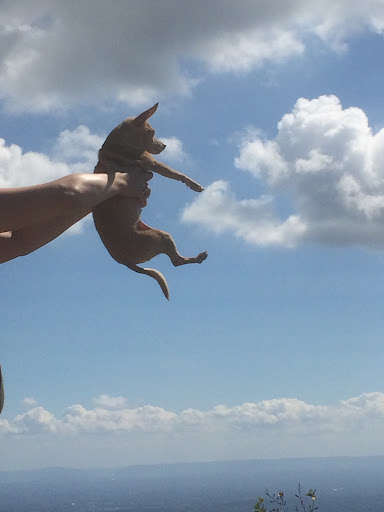 Tourist Attraction «Ice Caves», reviews and photos, Sams Point Rd, Pine Bush, NY 12566, USA