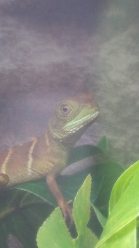 Pet Supply Store «Petco Animal Supplies», reviews and photos, 1201 E Washington Ave, Union Gap, WA 98903, USA