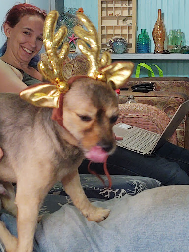 Pet Supply Store «Petco Animal Supplies», reviews and photos, 1670 Airport Blvd #700, Pensacola, FL 32504, USA